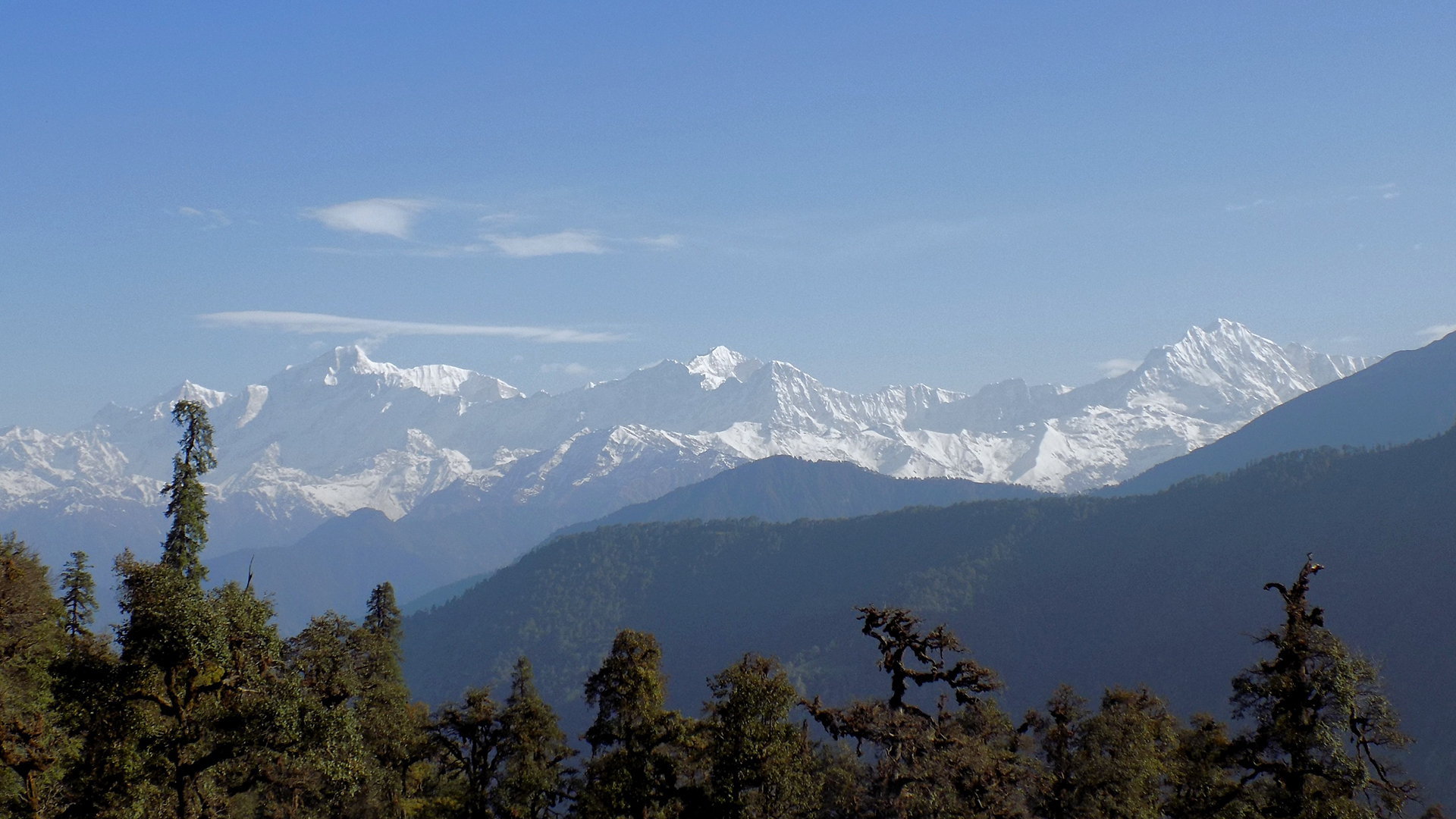 Chopta Chandrashila Trek - Bandwagon Travel Pvt Ltd