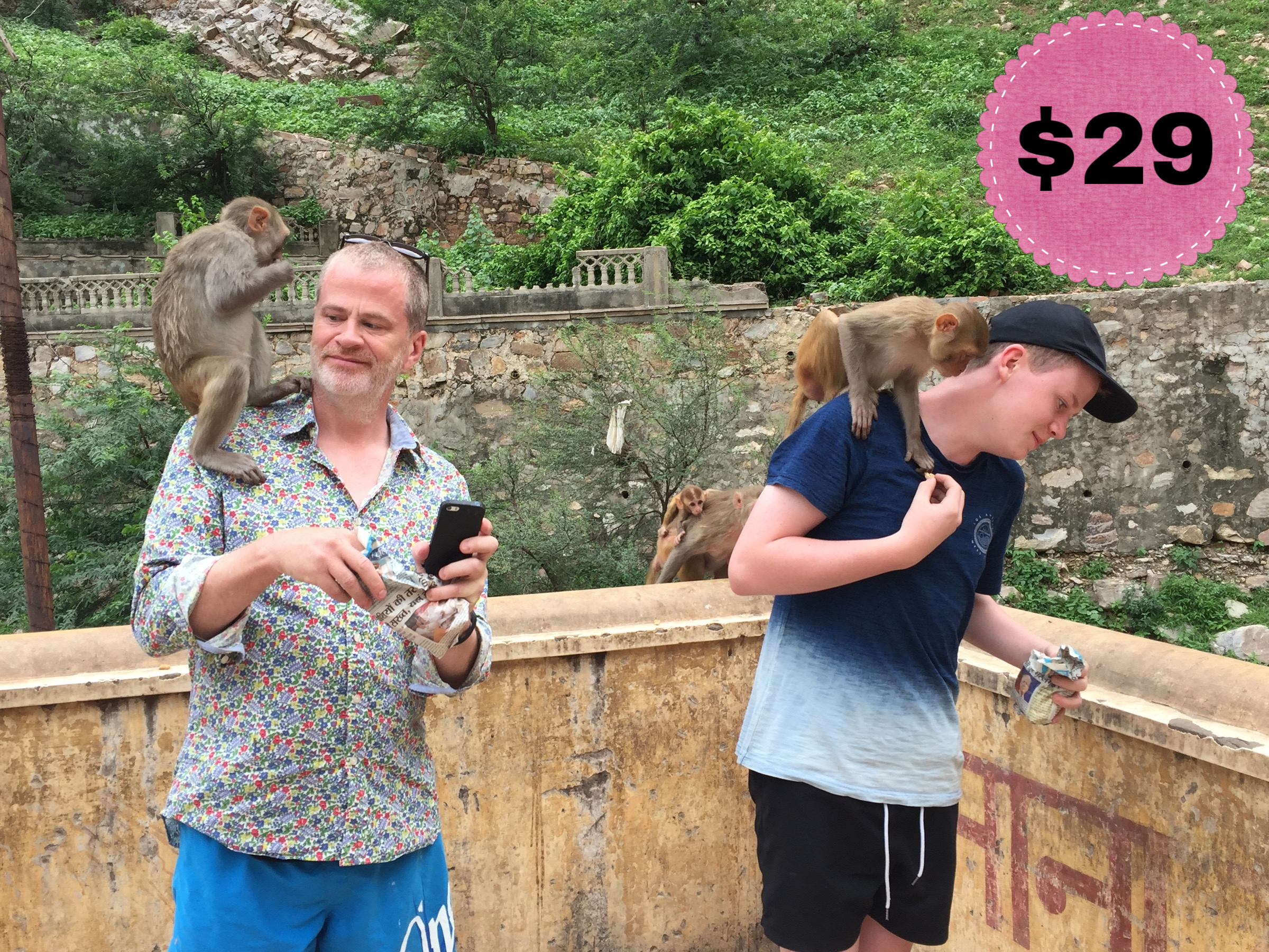 Bollywood tour and Monkey temple tour