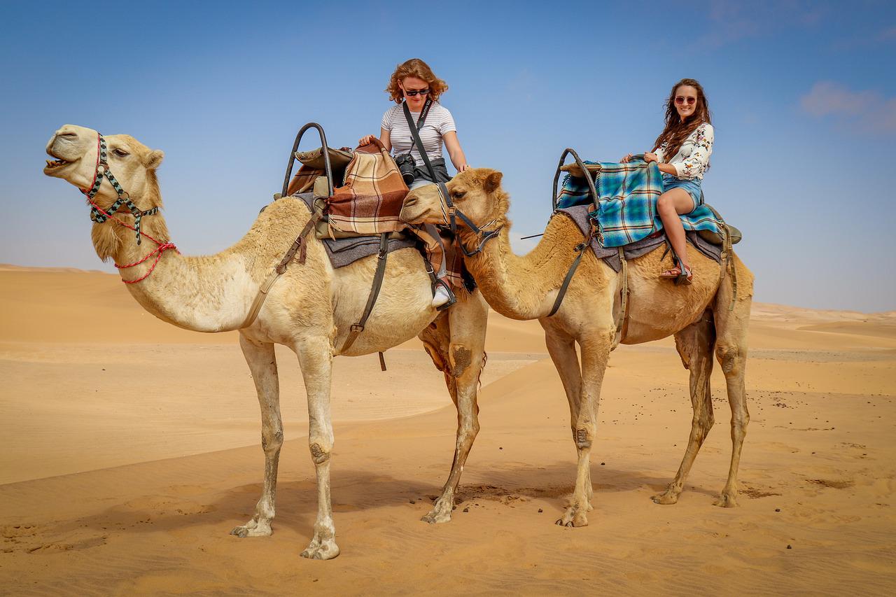 camel, desert, namib desert-4785794.jpg