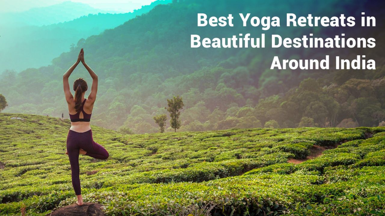 Yoga-Meditation-Wellness Tour - India